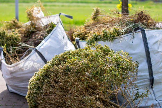 Best Commercial Junk Removal  in Robersonville, NC